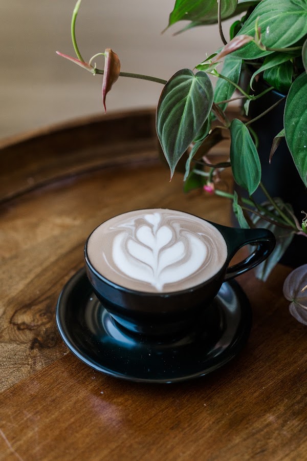 The White Rabbit Coffee House 4
