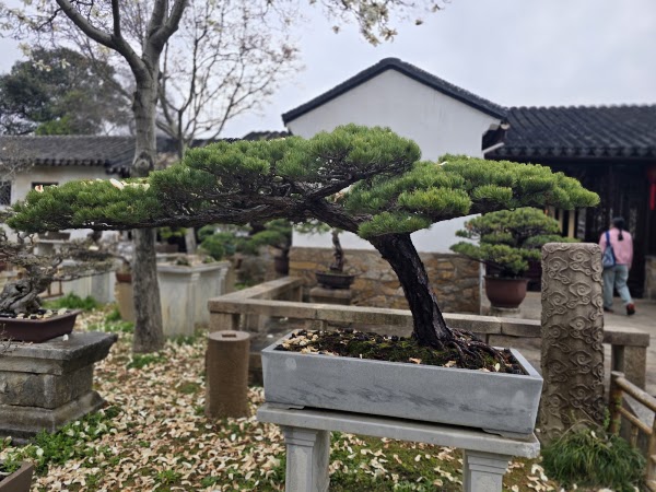 Xiyuan Temple 2