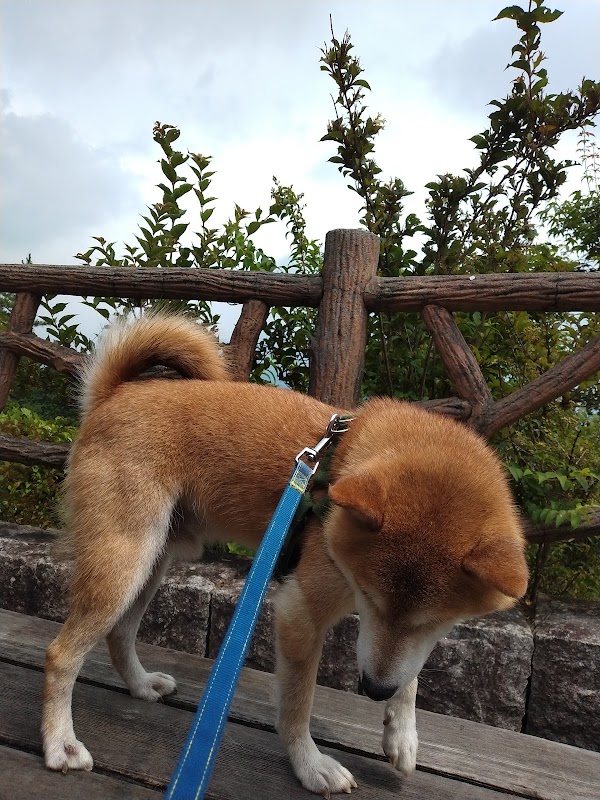 Roadside Station Hakone-toge 2