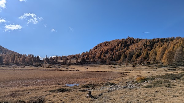 Col Bas 1