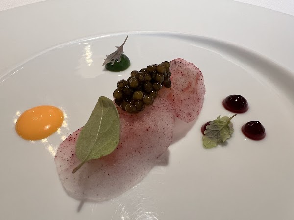 Agostino Iacobucci 3