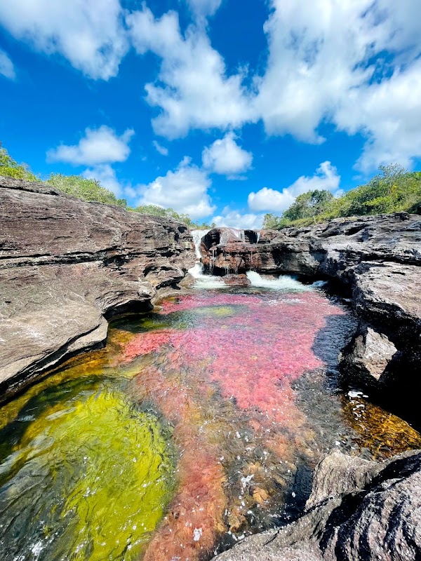 Caño cristales