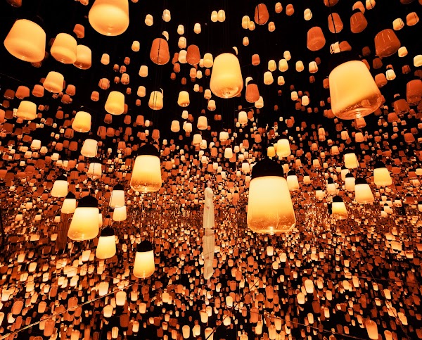チームラボ バイオヴォルテックス京都(TeamLab⭐︎Biovortex Kyoto, 2025 Autumn open) 1