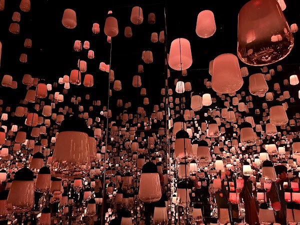 チームラボ バイオヴォルテックス京都(TeamLab⭐︎Biovortex Kyoto, 2025 Autumn open) 5