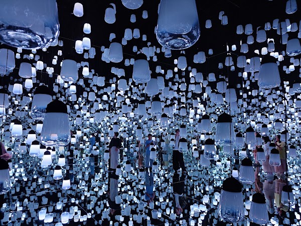チームラボ バイオヴォルテックス京都(TeamLab⭐︎Biovortex Kyoto, 2025 Autumn open) 4