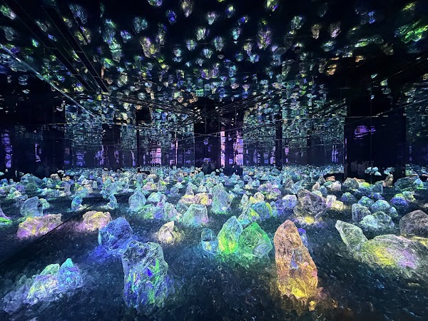 チームラボ バイオヴォルテックス京都(TeamLab⭐︎Biovortex Kyoto, 2025 Autumn open) 3