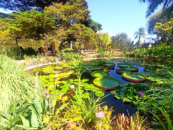 Val Rahmeh-Menton Botanical Garden 5