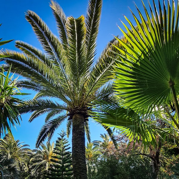 Val Rahmeh-Menton Botanical Garden 3