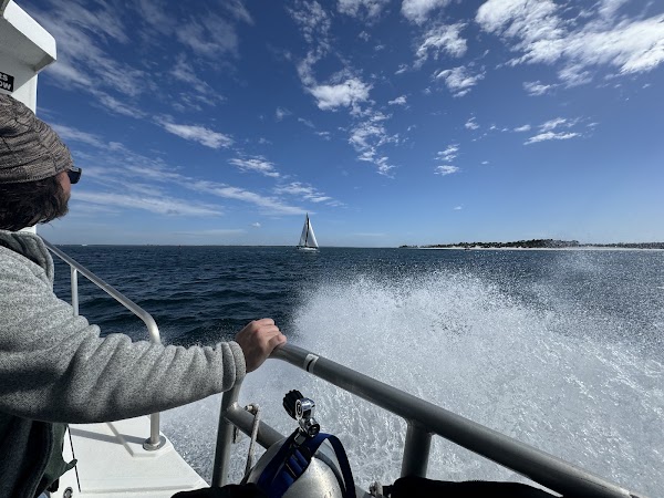 Big Blue Dive Boat 5
