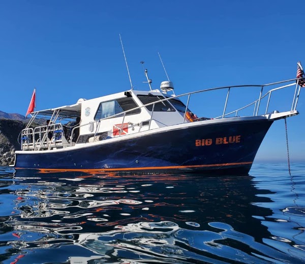 Big Blue Dive Boat 3