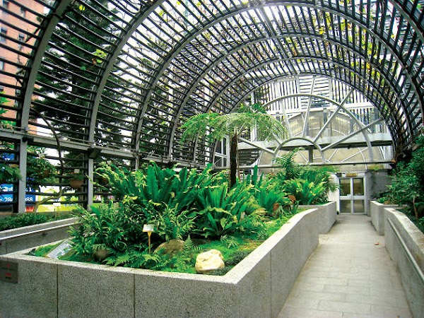 Hong Kong Zoological and Botanical Gardens Green House