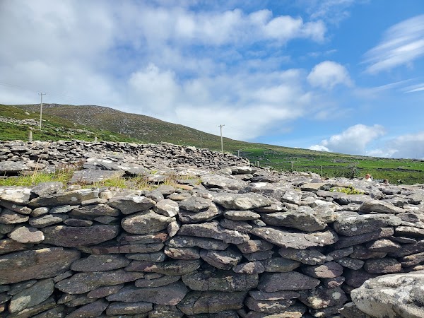 Cashel Murphy