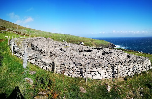 Cashel Murphy 5