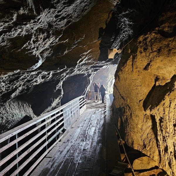 The Cave Store 5