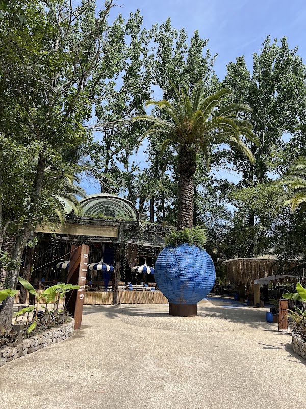 Bamboo & Coconut Park 4
