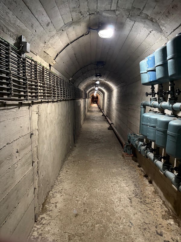 Tito's Bunker - ARK D-0 4