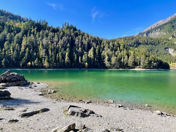 Blindsee 5