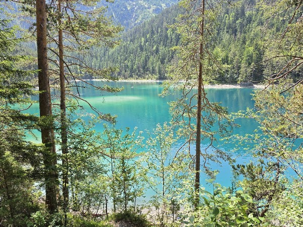Blindsee 4