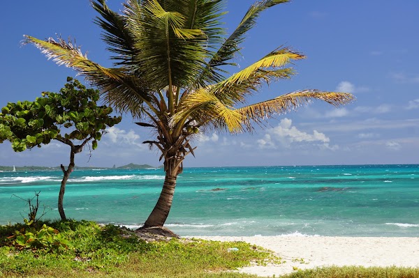 Guadeloupe 4