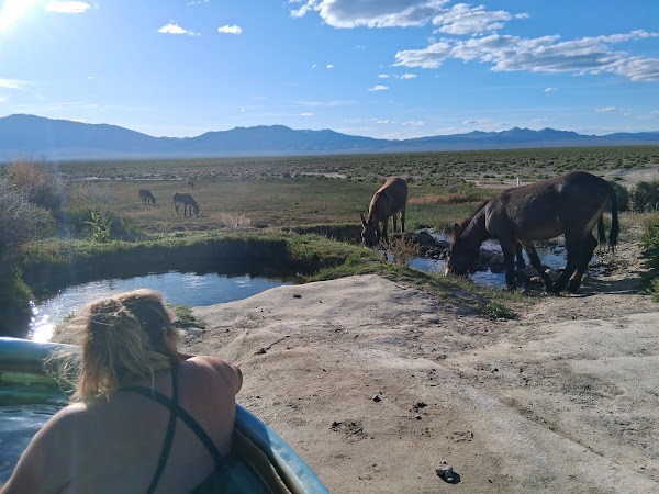 Spencer Hot Springs 1