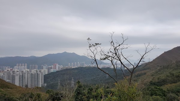 菠萝山 1