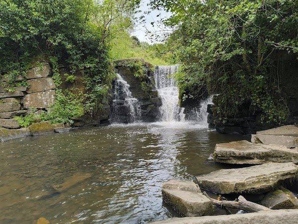 Penllergare Valley Woods 1
