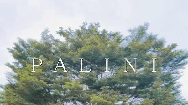 PALINI CLUB CO.,LTD.