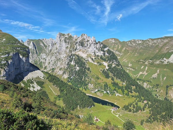 Saxer Lücke 4