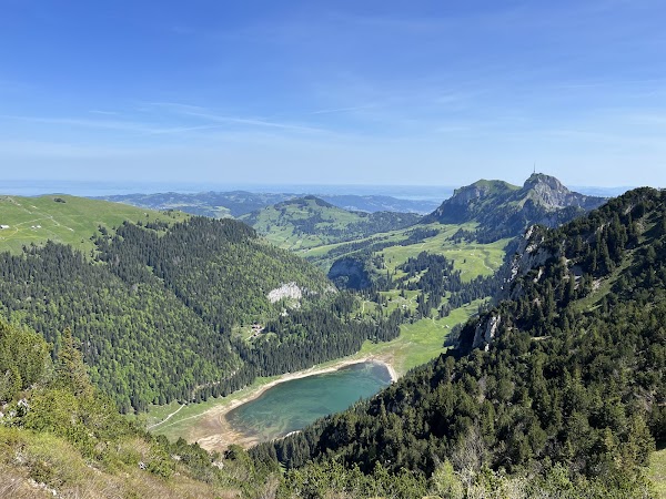Saxer Lücke 2