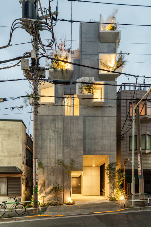 Tree-ness House 5