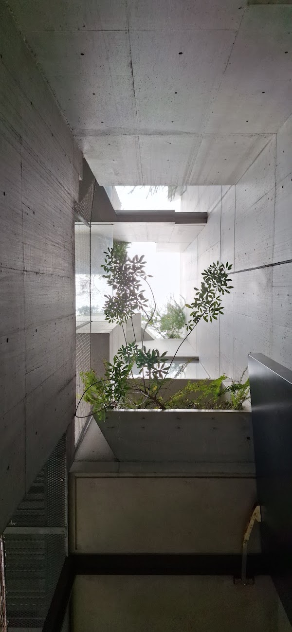 Tree-ness House 3