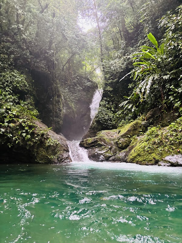 Cascada El Tapir / Rana Dorada