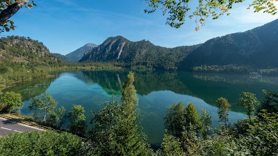 Almsee
