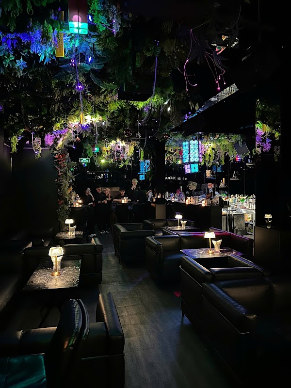 Zodiac Bar 1
