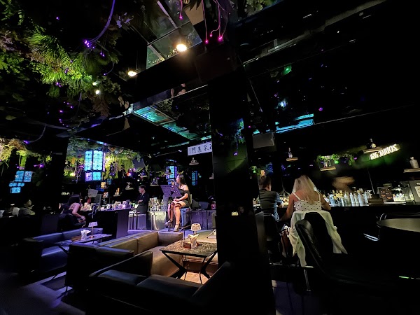 Zodiac Bar 4
