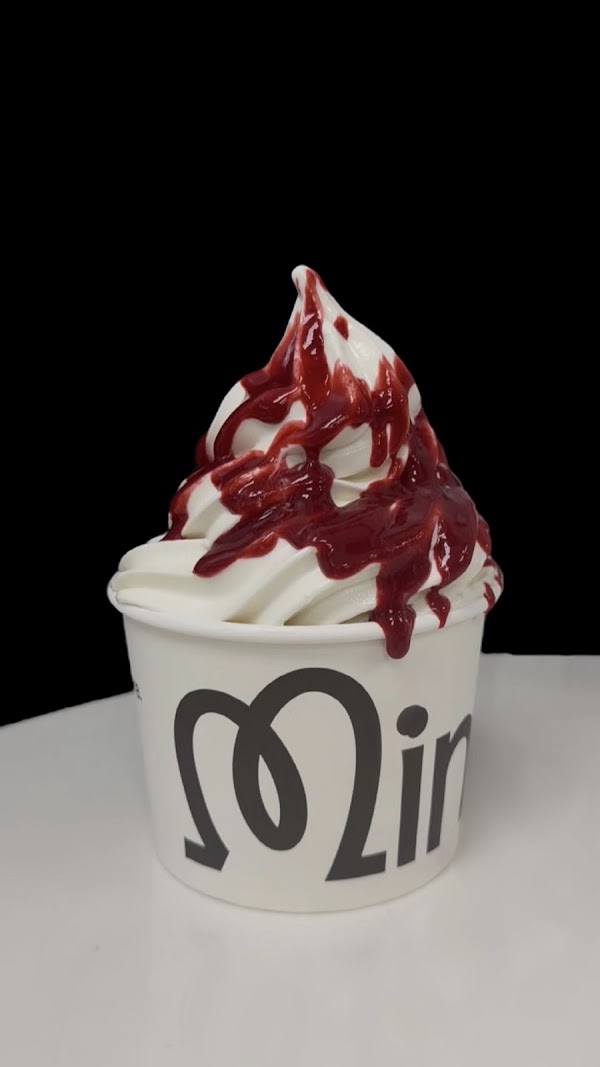 Mimi's Frozen Yogurt 5