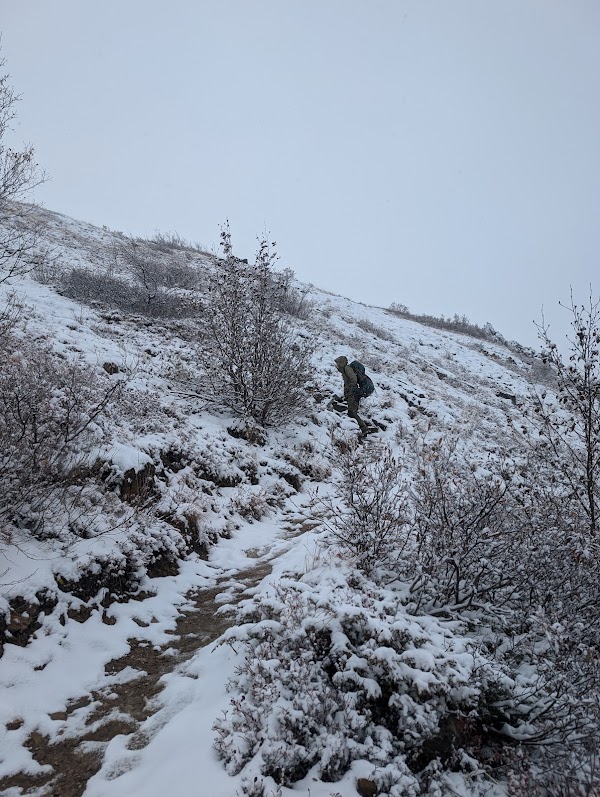 Mount Healy Overlook Trail