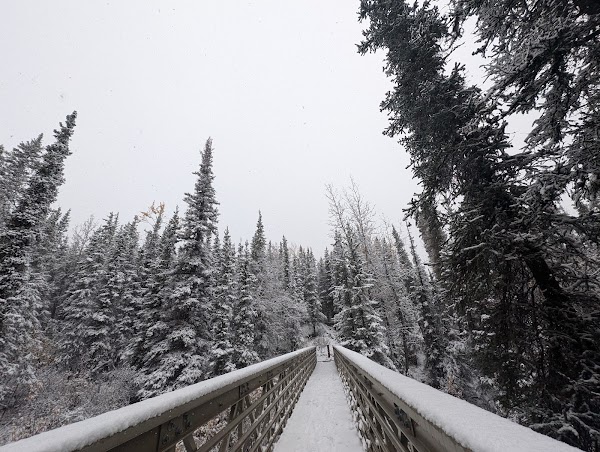 Mount Healy Overlook Trail 3