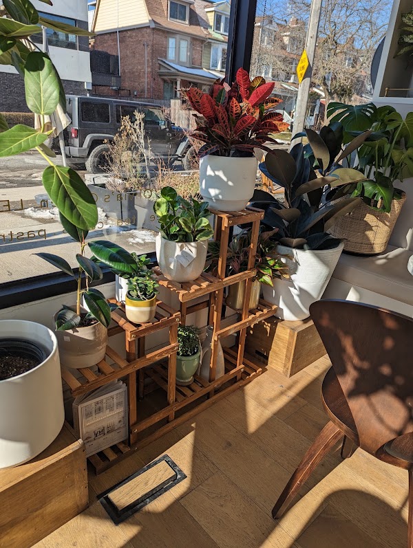 Olivia’s Garden 4