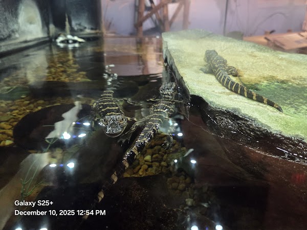 Osceola County Welcome Center and History Museum 3