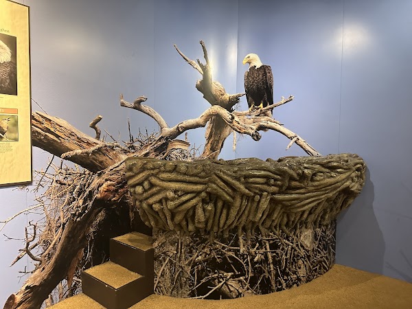 Osceola County Welcome Center and History Museum 2
