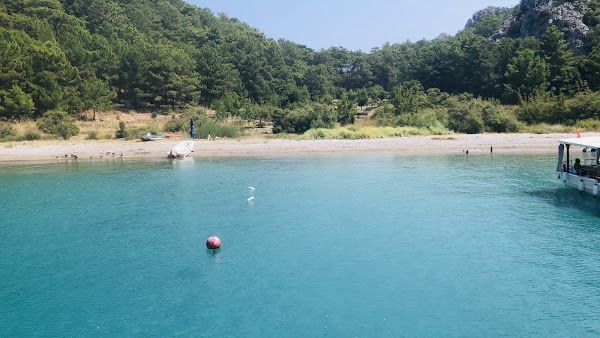 Porto Ceneviz Koyu