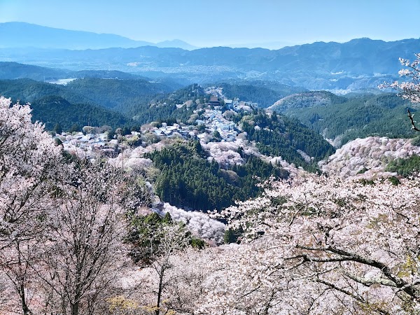 Hanayagura Observation Point
