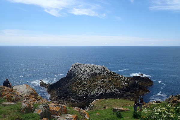 Saltee Islands 3