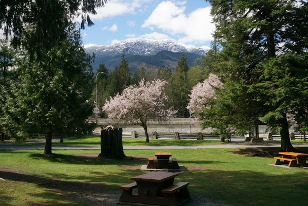 Shannon Falls Provincial Park 4