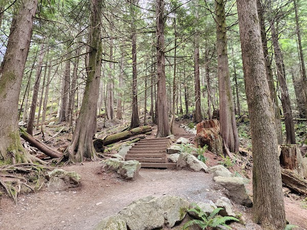 Shannon Falls Provincial Park 3