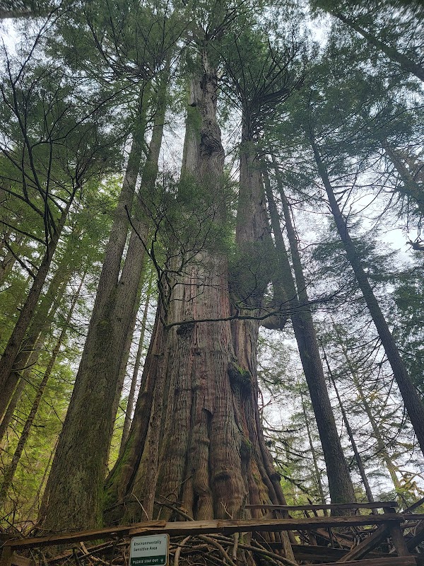 Shannon Falls Provincial Park 2