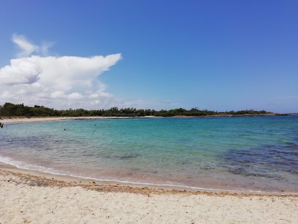 Torre Guaceto beach 5