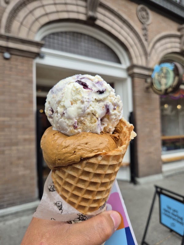 Molly Moon's Homemade Ice Cream Capitol Hill 5