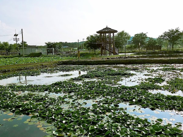 Wangsong Lake 1